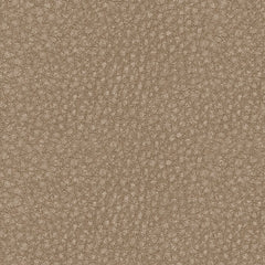 61004/31/46/58/62/77 : 61004S6