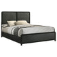 Cavelle 51-inch Upholstered Queen Bed Black - Discount Furniture Connection