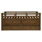 Carlsbad Wood Twin Captains Bed With Trundle Medium Brown - Discount Furniture Connection
