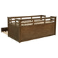 Carlsbad Wood Twin Captains Bed With Trundle Medium Brown - Discount Furniture Connection