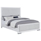 Gracemont 57-inch Queen Panel Bed Grey and White - Discount Furniture Connection