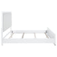 Gracemont 57-inch Eastern King Panel Bed Grey and White - Discount Furniture Connection