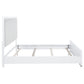 Gracemont 57-inch California King Panel Bed Grey and White - Discount Furniture Connection