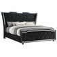 Lorient Eastern King LED Upholstered Bed Black - Discount Furniture Connection