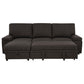 Demko Sleeper Sectional Sofa with Speaker and Storage Chaise Brown